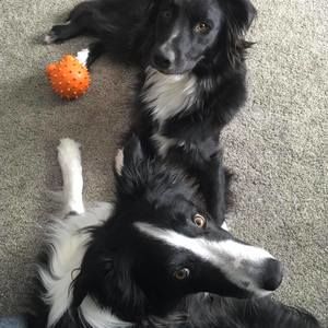 Meet your Posher, Patti